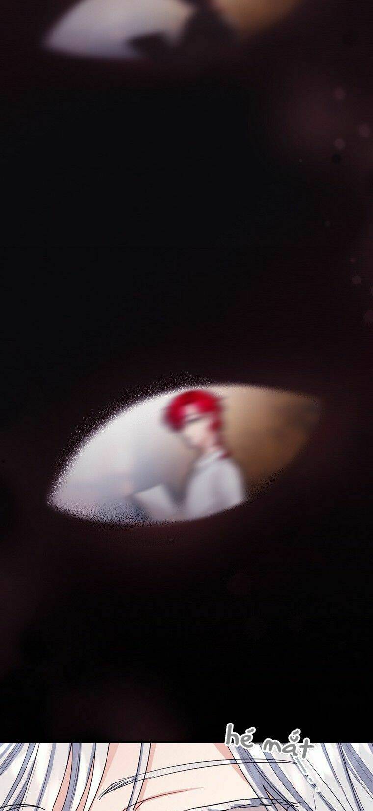 cuộc hôn nhân hợp đồng của công tước ashleyan chapter 19 3