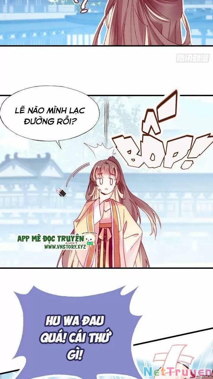 lại bị bệnh chiều chuộng quấn lấy chapter 9 34