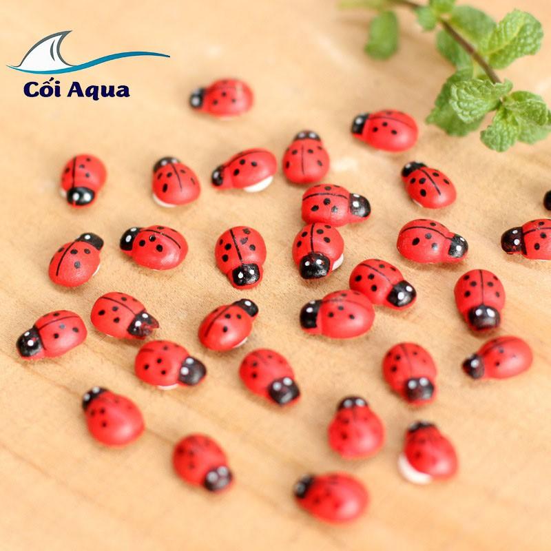 Tiểu cảnh mini ️ Combo 5 Bọ ngũ sắc nhiều màu tiểu cảnh trang trí sen đá, sân vườn, bể cá, bể terrarium
