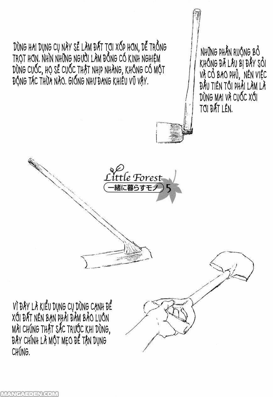 little forest chapter 21 9