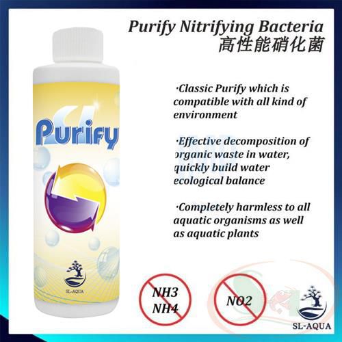 Vi sinh nước SL-Aqua Purify Nitrifying Bacteria xử lý làm trong nước diệt sán thủy tức bể cá tép thủy sinh