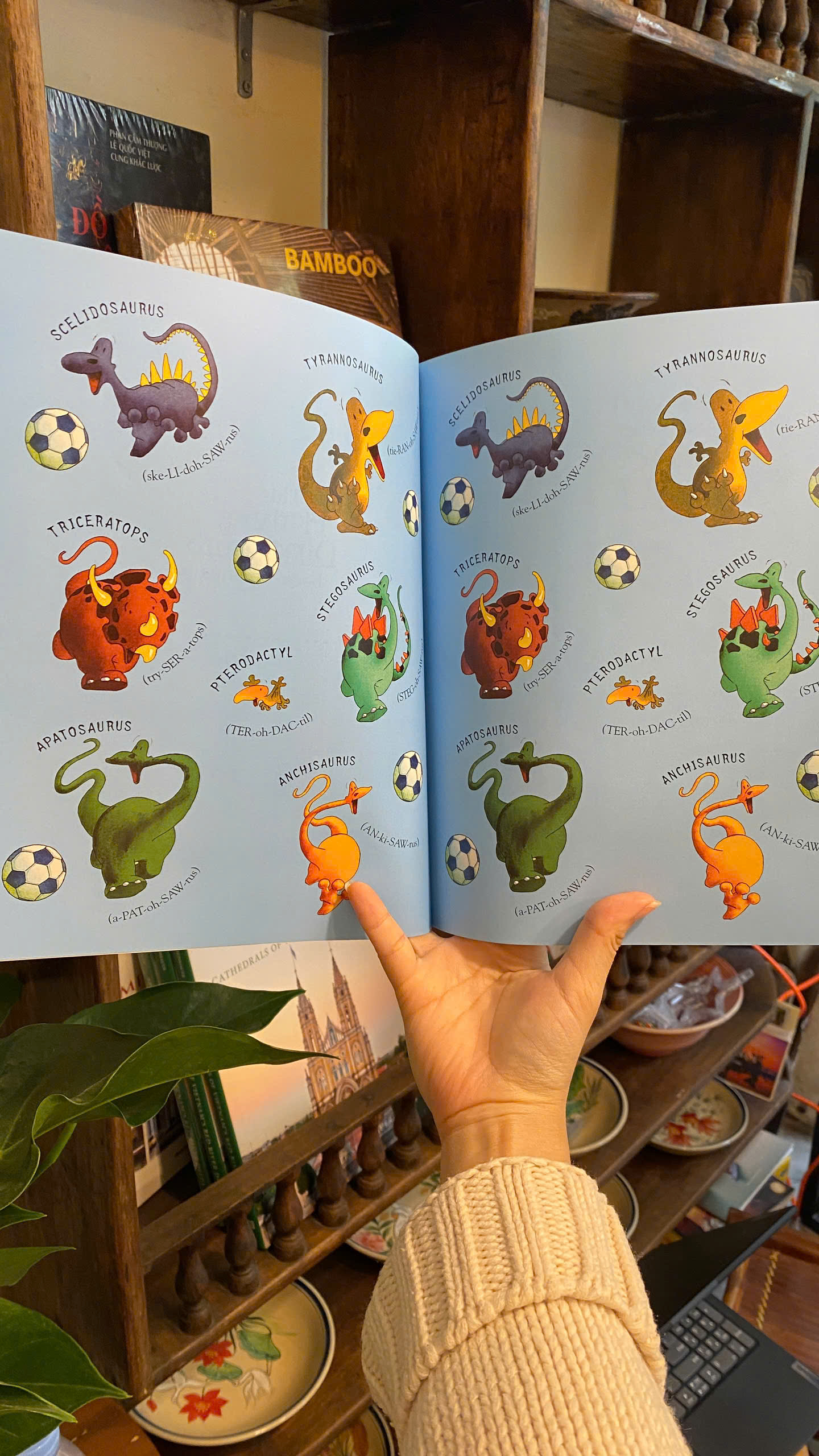 Sách - Harry and the Dinosaurs: United by Adrian Reynolds | Children's English Picture Book