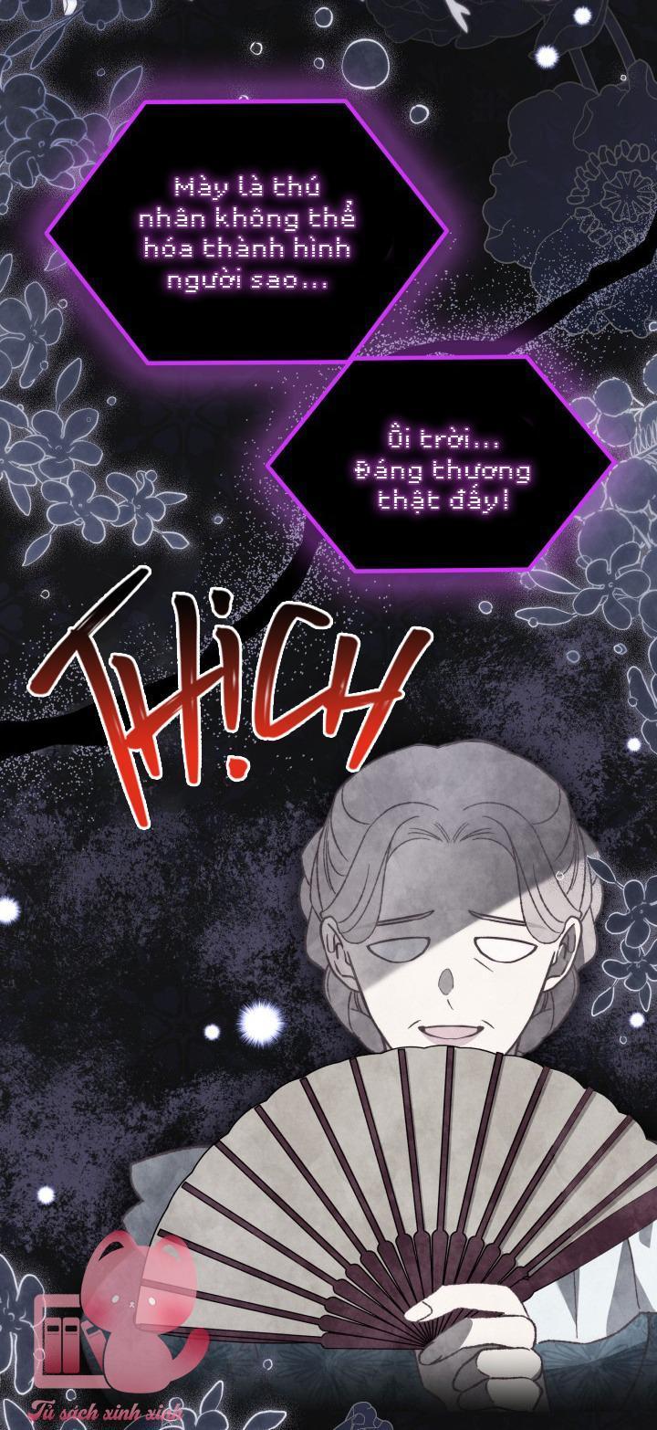 quan hệ cộng sinh giữa báo đen và thỏ trắng chapter 106 3