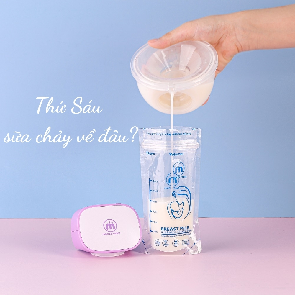 Túi Trữ Sữa Và Bảo Quản Sữa Mẹ Mama’s Choice, Bịch Đựng Sữa Mẹ, Có Khóa Zip Tiện Lợi An Toàn, Lẻ 10 Túi