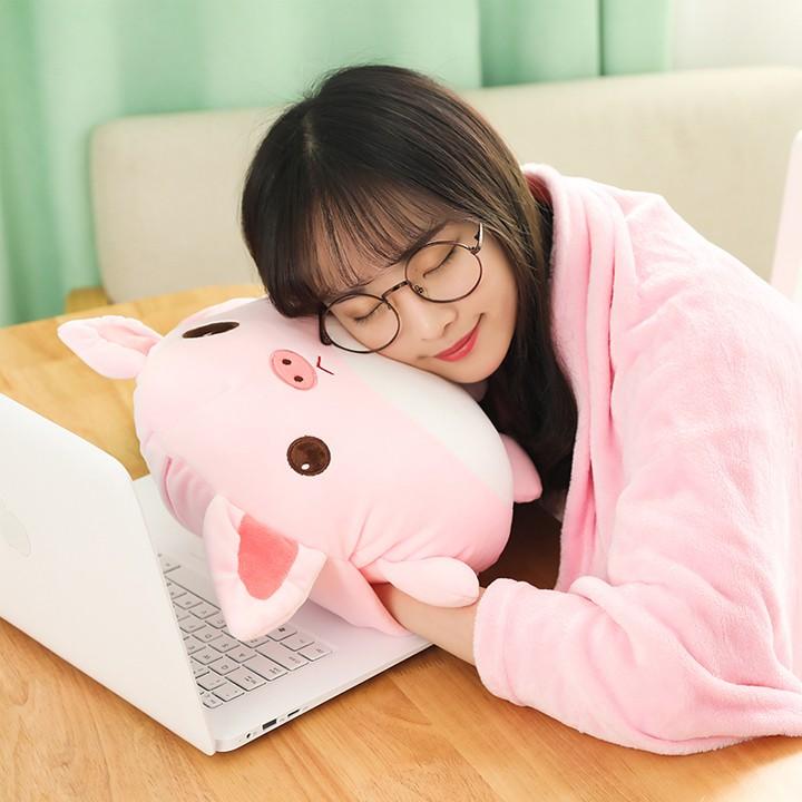 Gối mền gấu bông Totoro bộ chăn gối văn phòng siêu đáng iu với thú bông đút tay 30*35cm và mền 1*1,7m