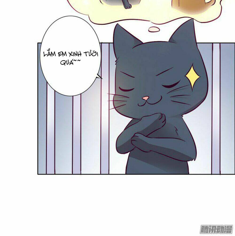 hai chú mèo totem chapter 3 15