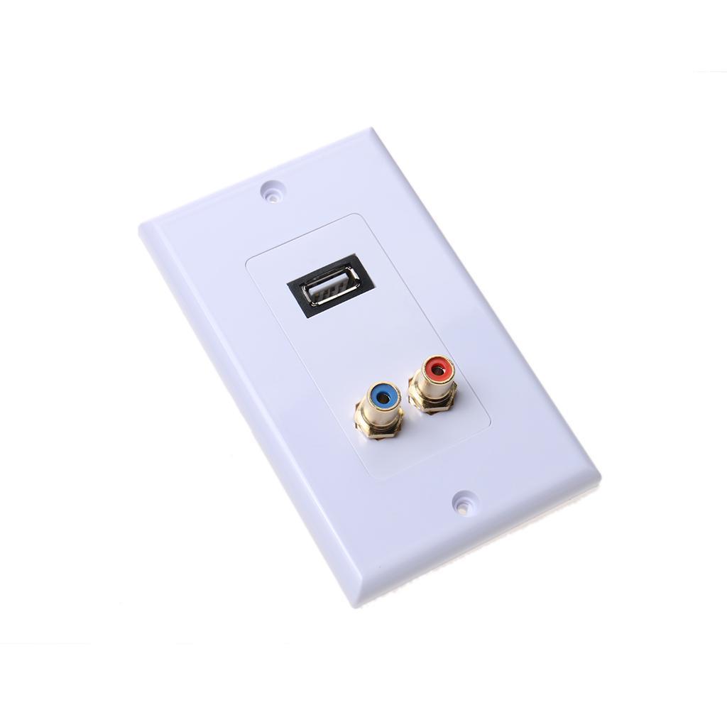 Gold Plated Wall Faceplate with USB 2.0 2RCA Female Ports