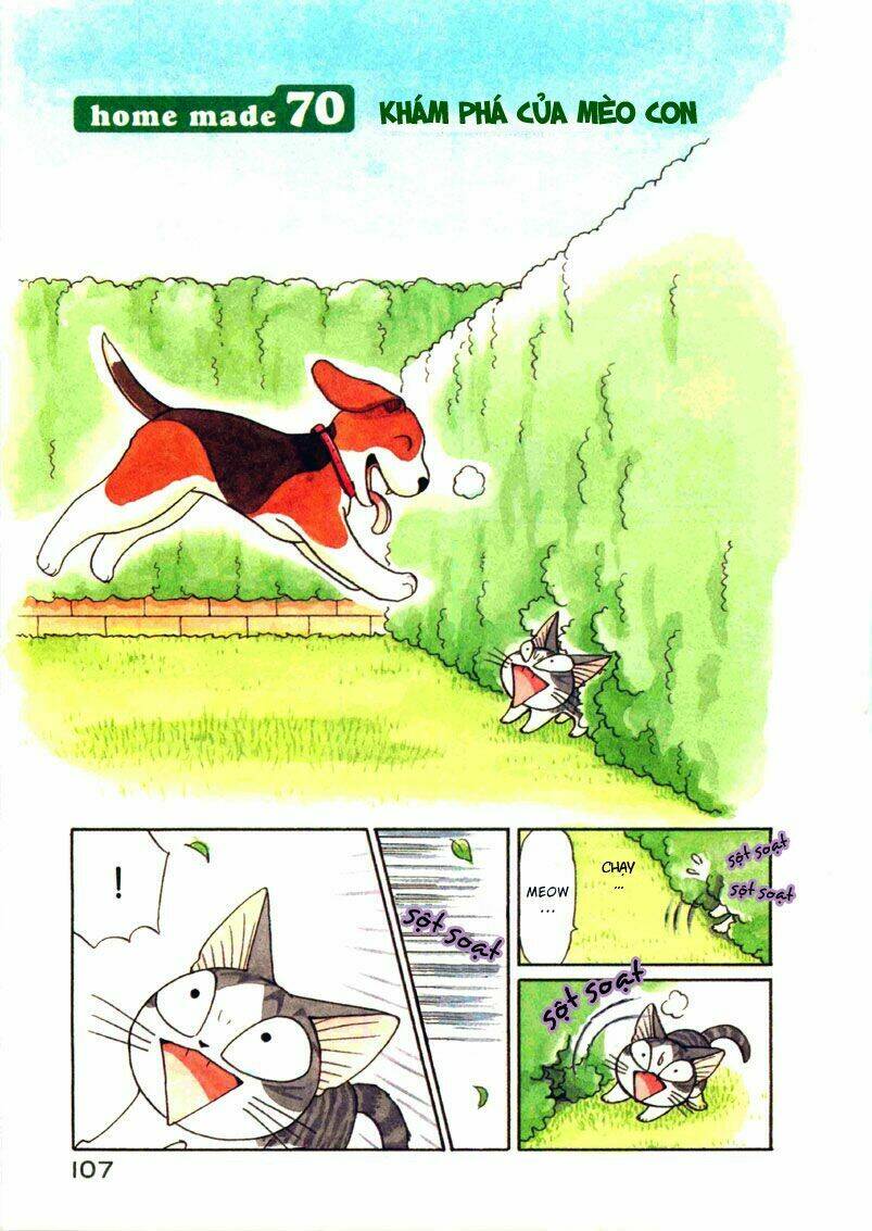 chi's sweet home chapter 70 2