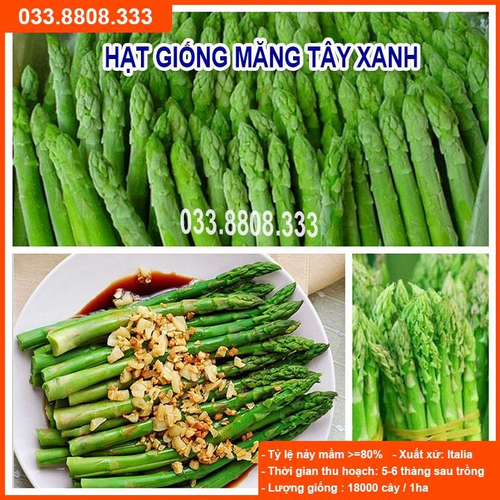 Hạt Giống Măng Tây Xanh - gói 1g