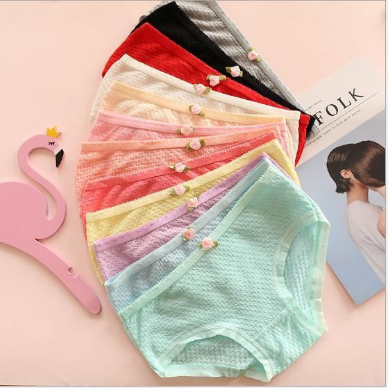 COMBO 10 QUẦN BÔNG THUN XỐP SIÊU XINH 1456