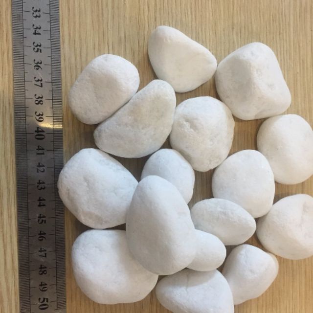 Sỏi trắng trang trí cỡ đại