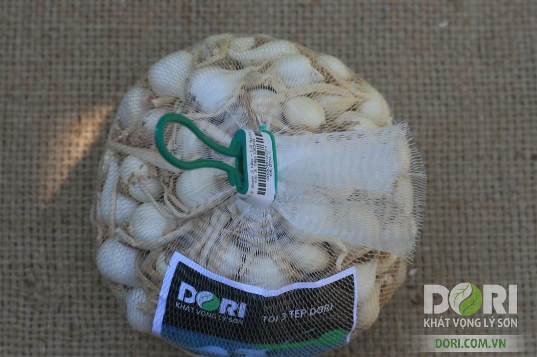 Đặc Sản Quảng Ngãi - Tỏi Lý Sơn Dori - Loại ít tép - Túi lưới 500g - Trồng tại đảo Lý Sơn - Cam kết đúng xuất xứ - Hoàn tiền 200% nếu sai cam kết - Dùng để ăn sống hoặc chế biến