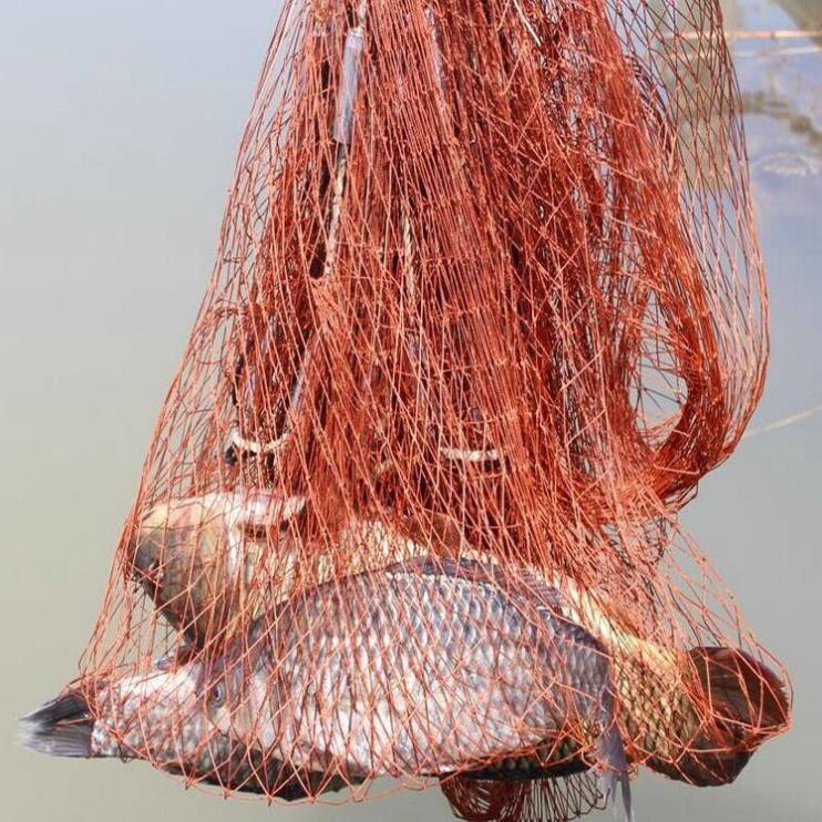 Chài Dù Bắt Cá Chân Chì Đúc Thái Lan cao 2m5 bung 5m