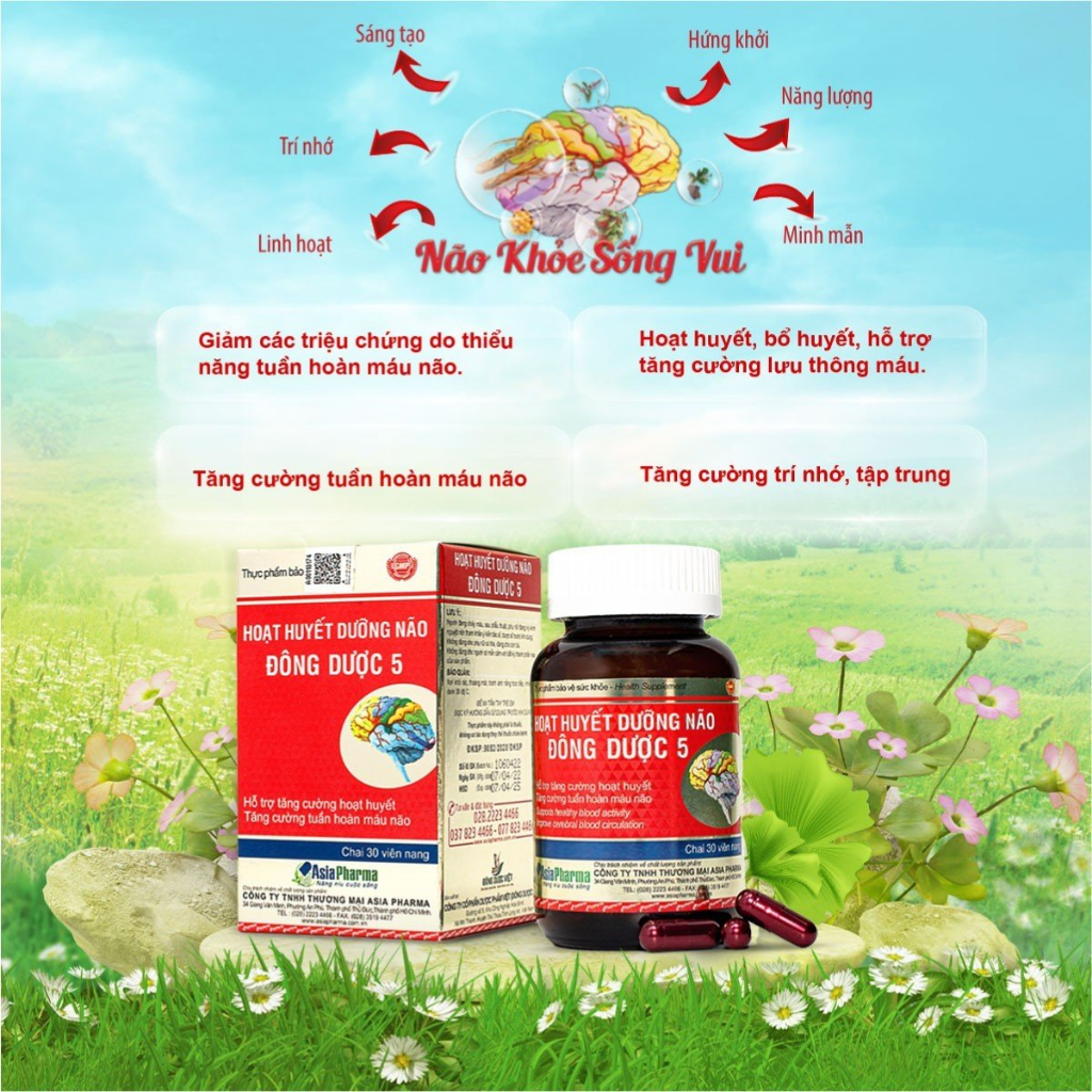 [COMBO 2 HỘP] Viên uống hoạt huyết dưỡng não Đông Dược 5 Asia Pharma hỗ trợ thiểu năng tuần hoàn não - Hộp 30 viên