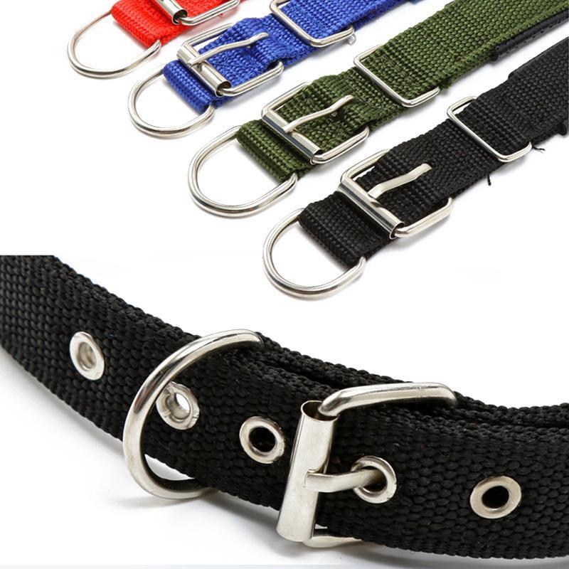 Vòng cổ cho chó XDD Ngáo Và Gâu Đần cỡ L chất liệu vải dù và da, kích cỡ 52*2.5cm