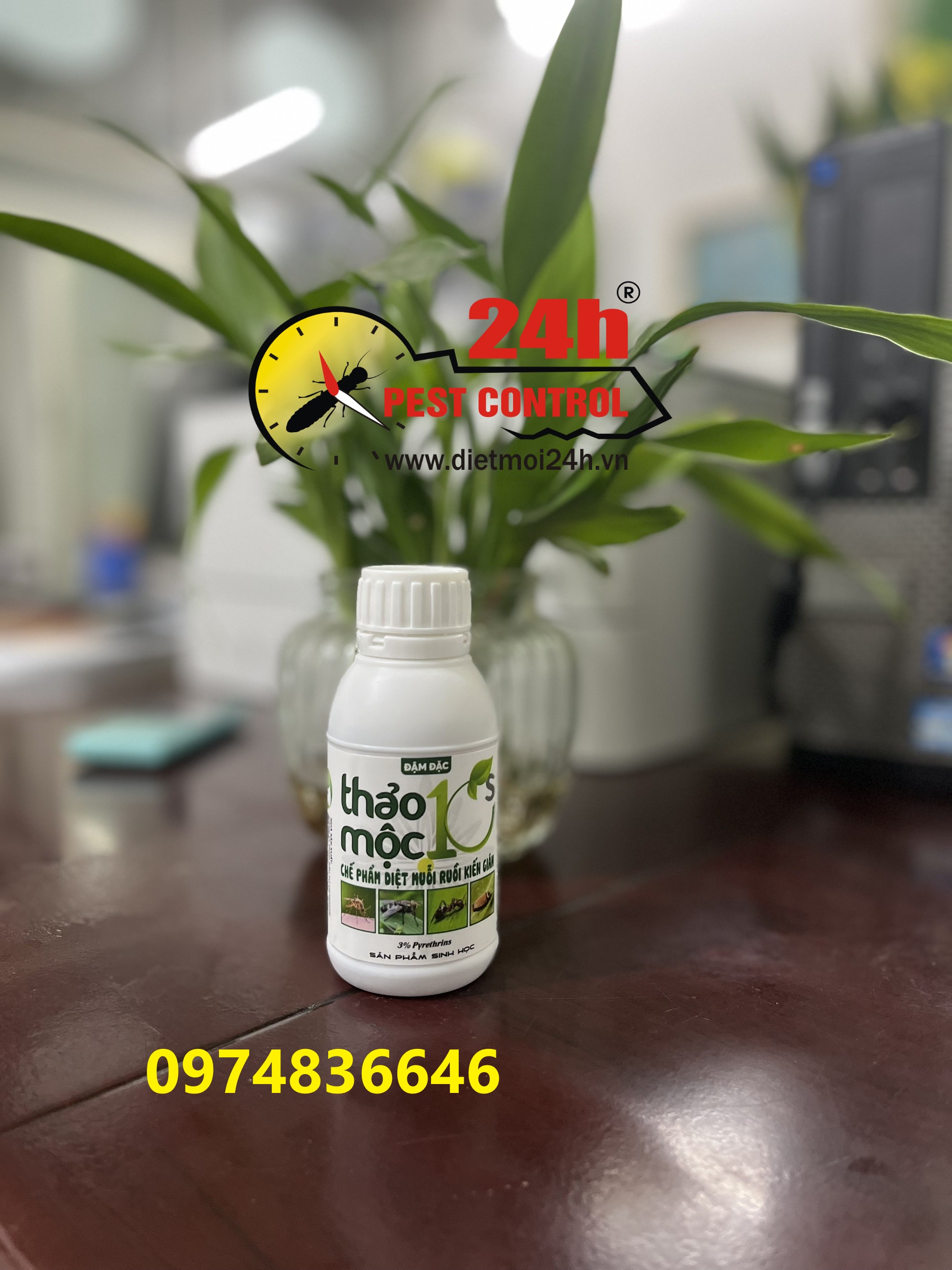 ( SẢN PHẨM SINH HỌC)  Thảo mộc 10S đậm đặc 100ml - Chế phẩm diệt Ruồi - Muỗi - Kiến - Gián