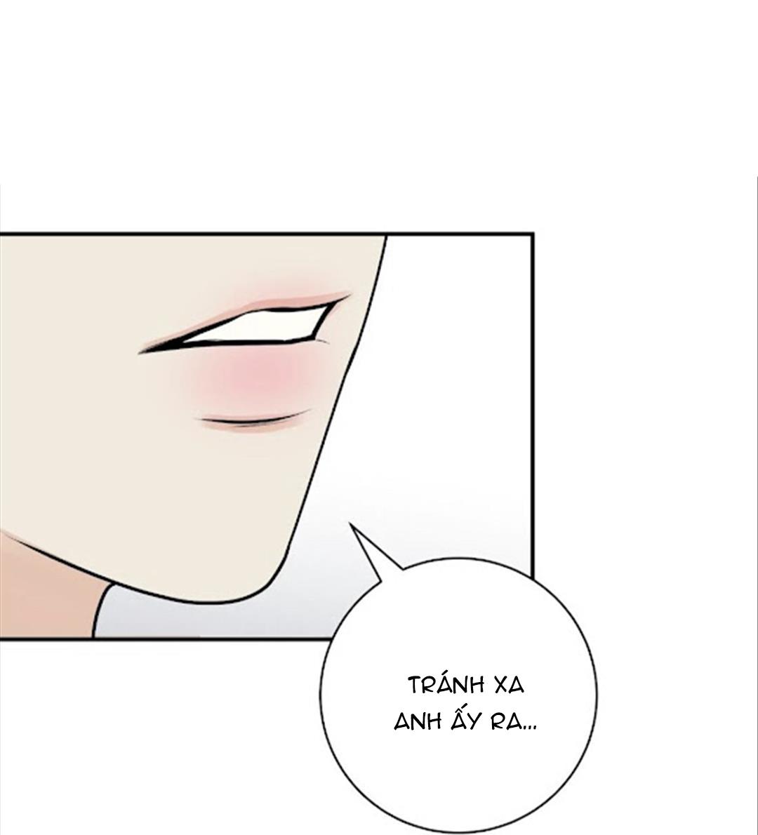 hạnh phúc trọn vẹn chapter 20 24