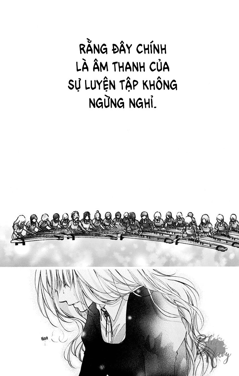 kono oto tomare! chapter 46 19