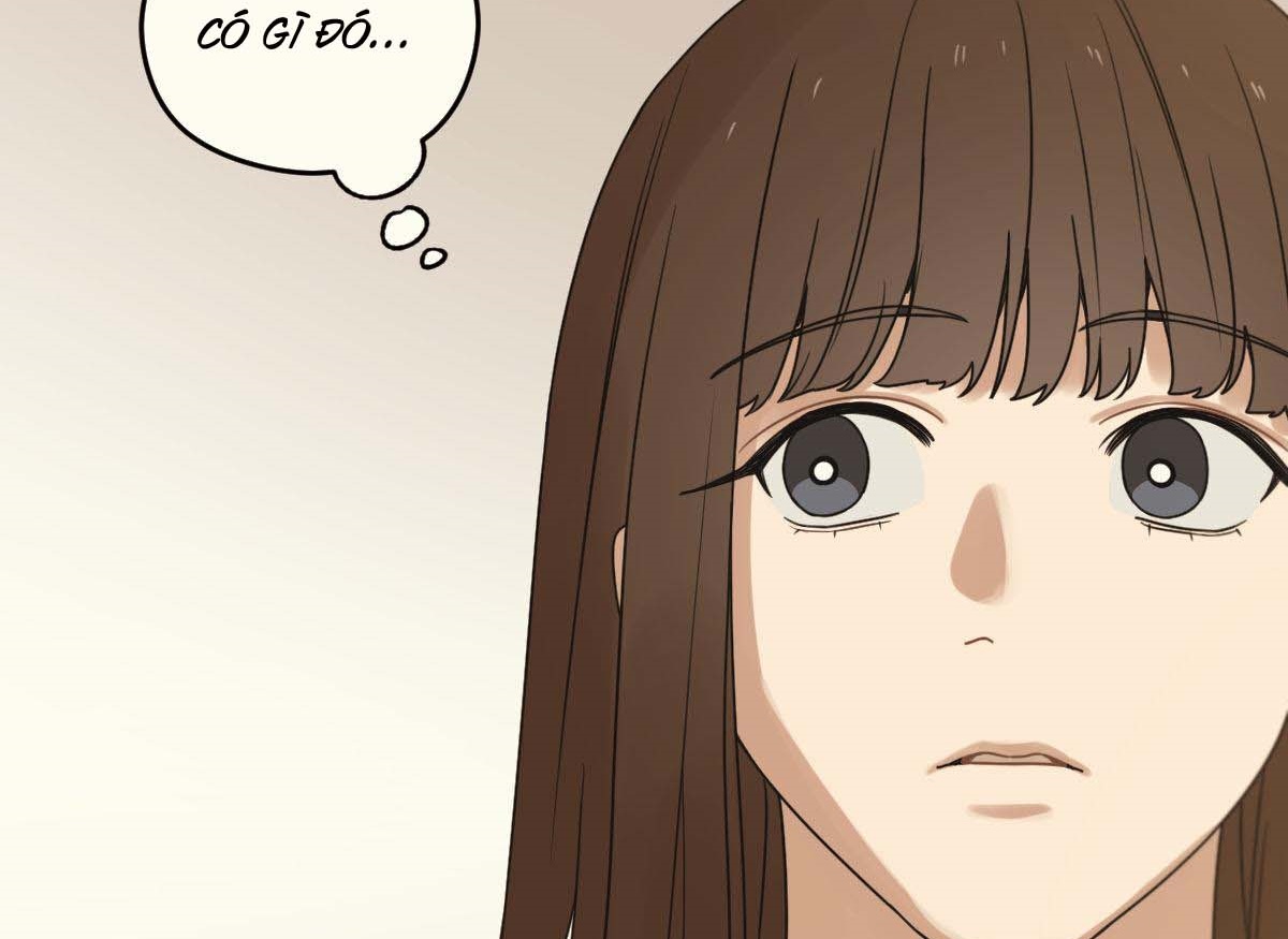 tương phùng chapter 31 220