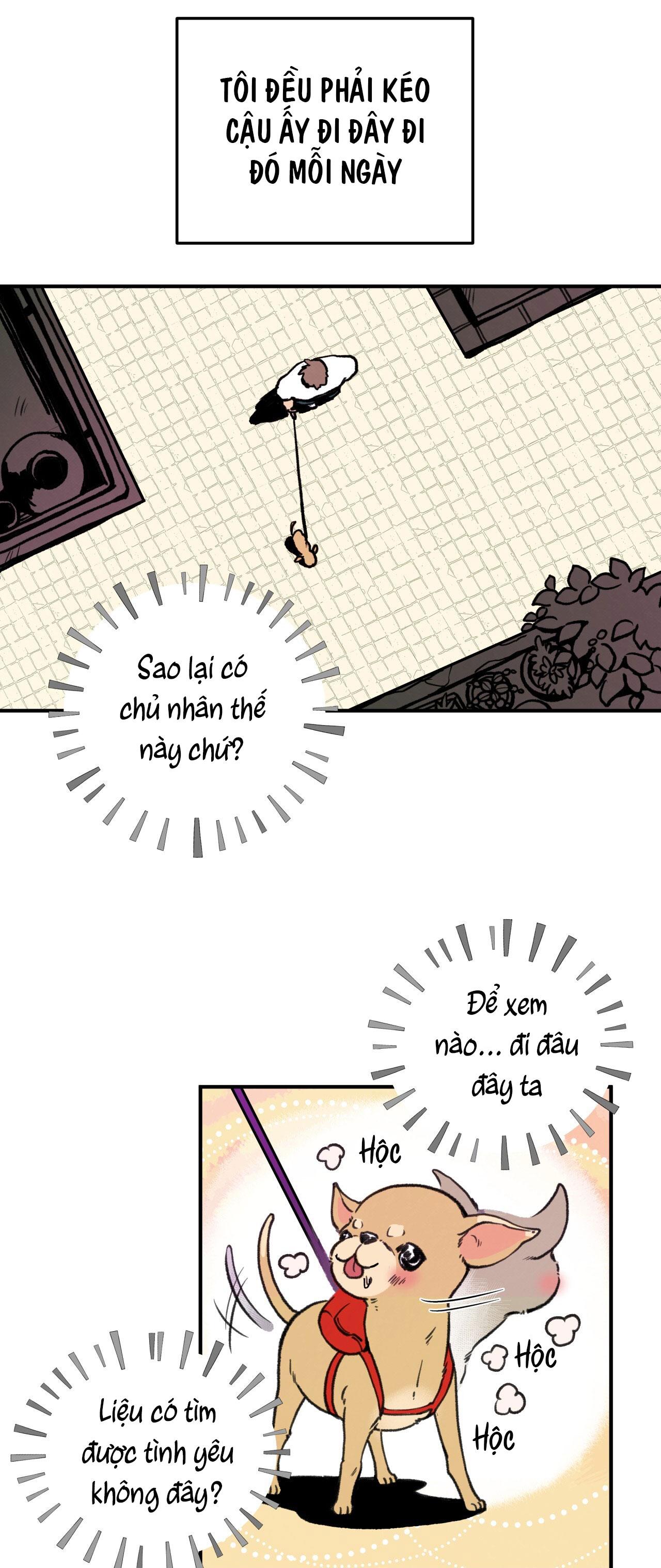 mật gấu chapter 1 11