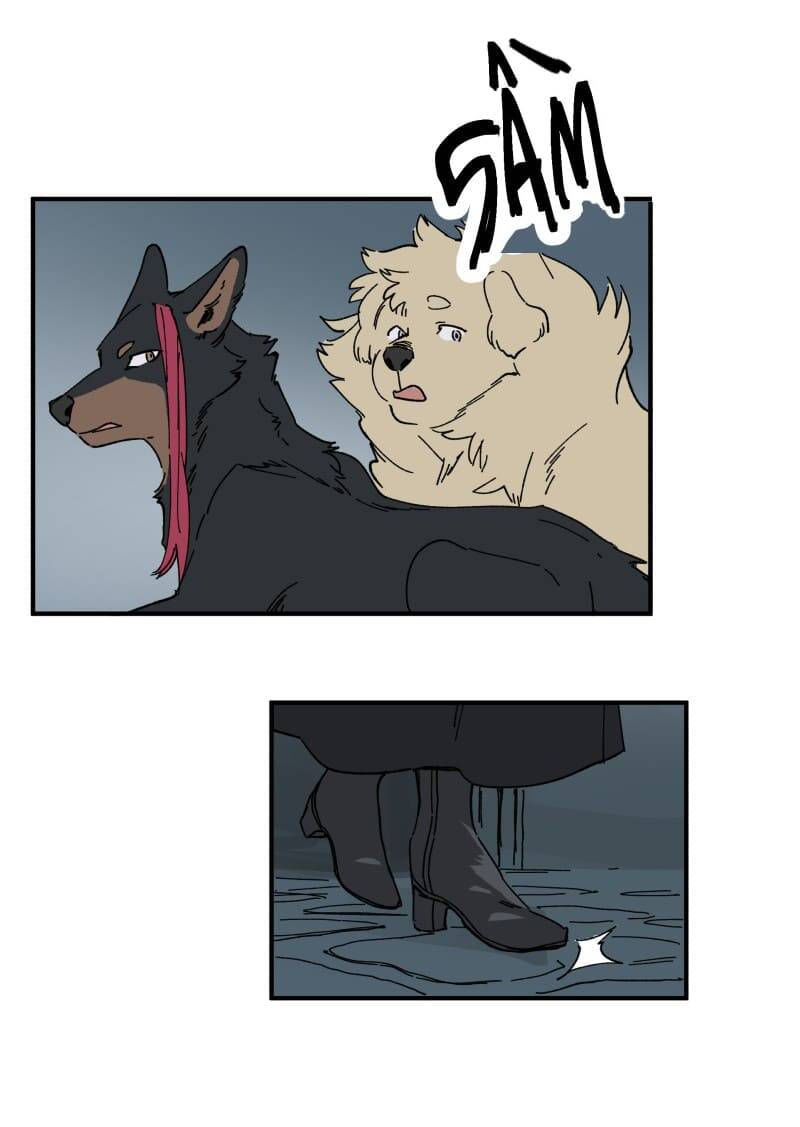 lumine - cội nguồn ánh sáng chapter 143 16