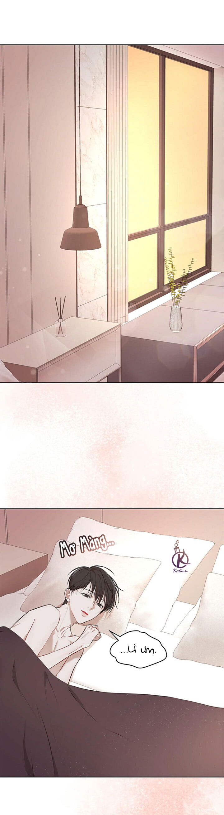 hình thái khởi sinh chapter 24 1