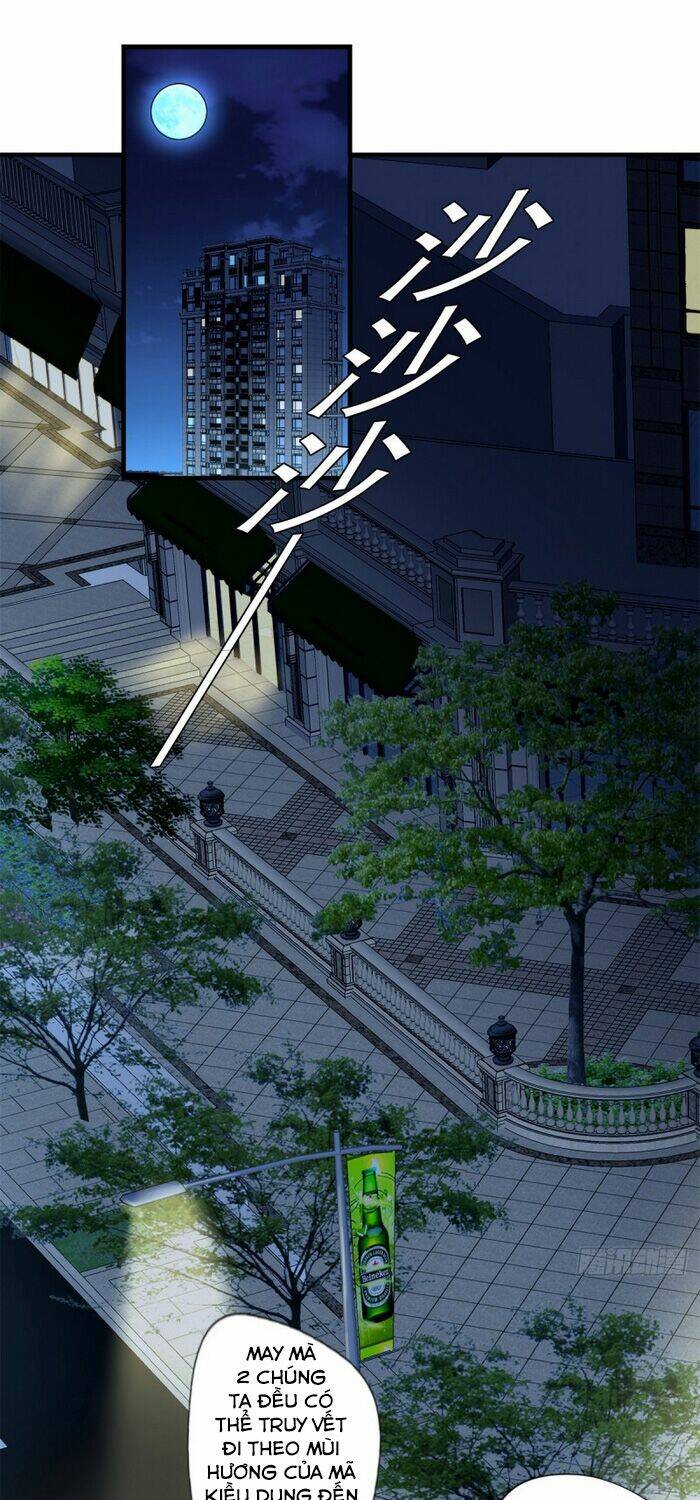 mở phòng khám tại tu tiên giới chapter 72 1