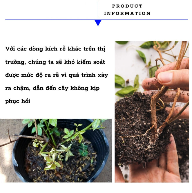 Thuốc,Viên Kích Rễ Cây Trồng X-GROW - Cung Cấp Dinh Dưỡng, Phục Hồi Cây, Tránh Sâu Bệnh