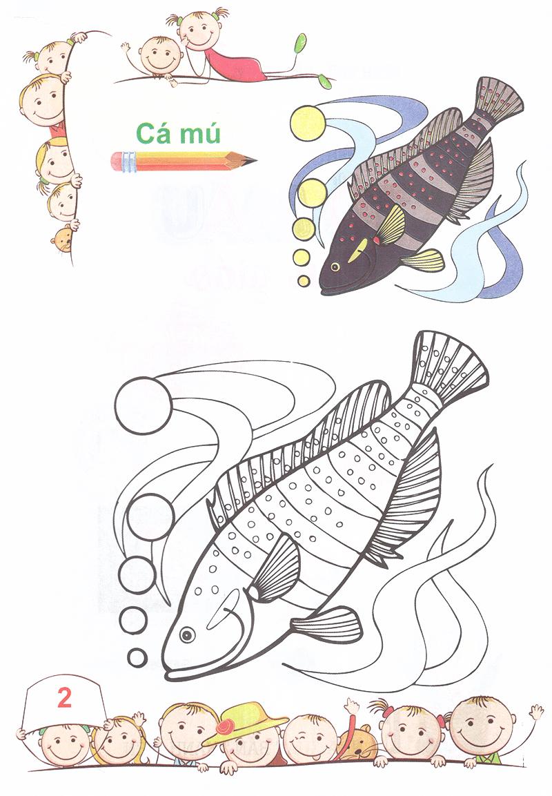 Tô Màu - Mẫu Giáo - Các Loài Cá