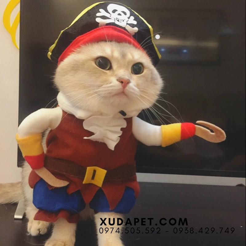 Áo Cosplay Caribe's Pirate Cho Chó mèo - SP006019Pirate