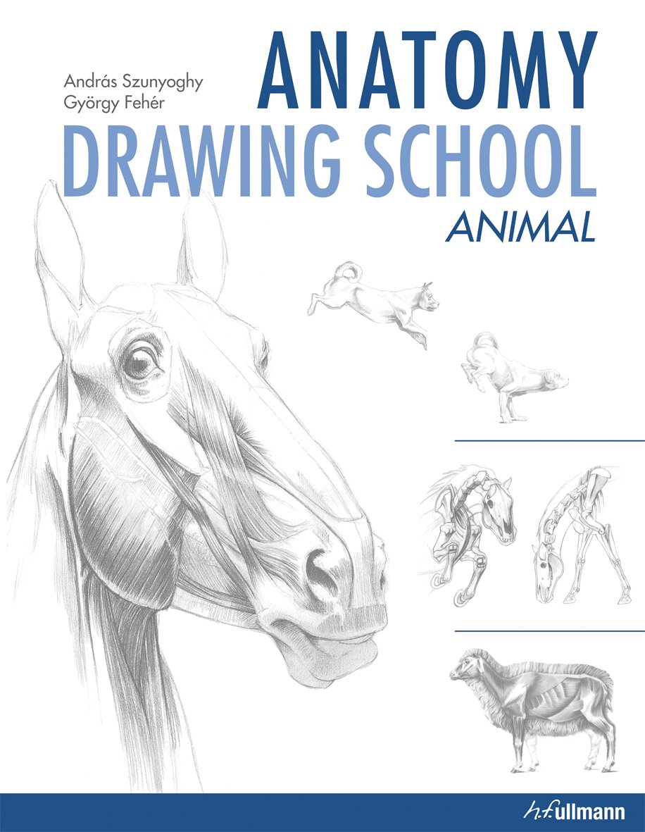 Anatomy Drawing School: Animal Anatomy