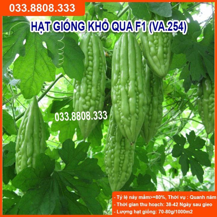 HẠT GIỐNG QUẢ KHỔ QUA GIỐNG TỐT, NẢY MẦM NHANH