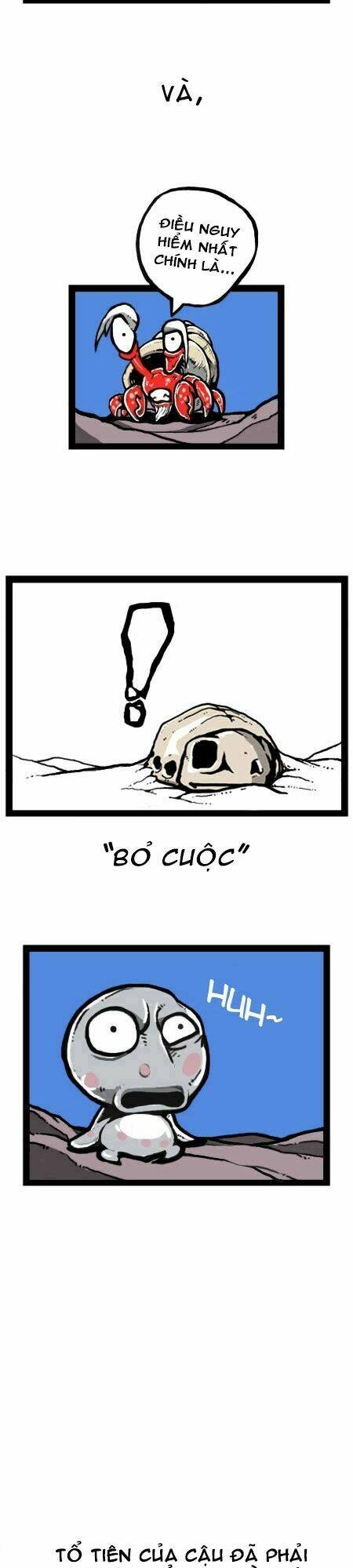 earth, human, and animal chapter 17 13