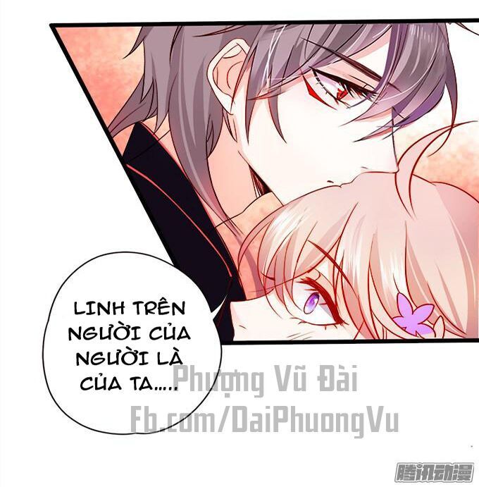 hồ tiên hung bạo chapter 4 65