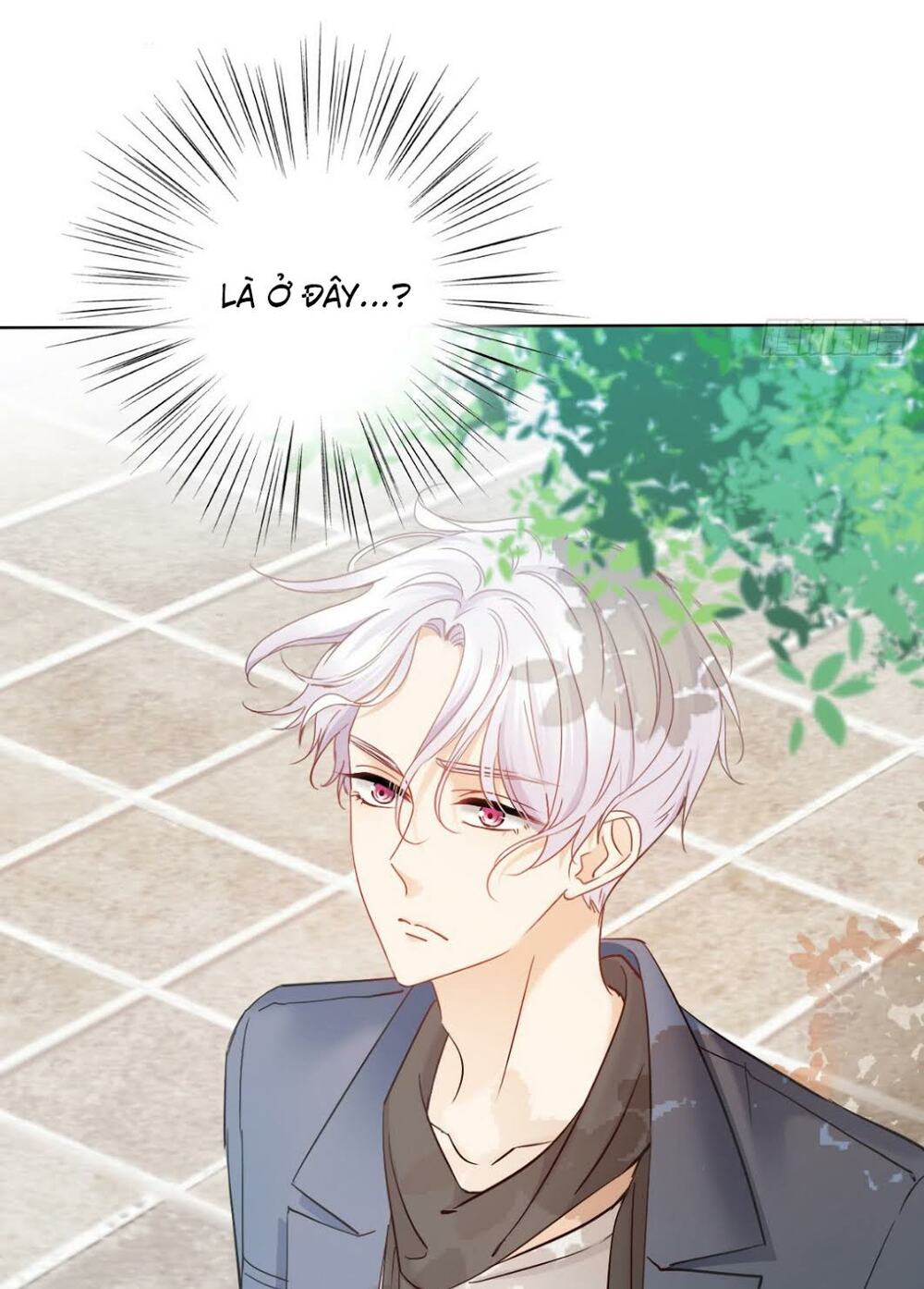 bay qua thiên sơn đến yêu anh chapter 38 15