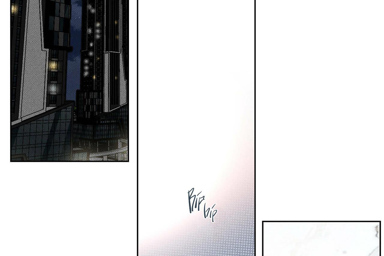 chàng giao pizza và gold palace chapter 12 4