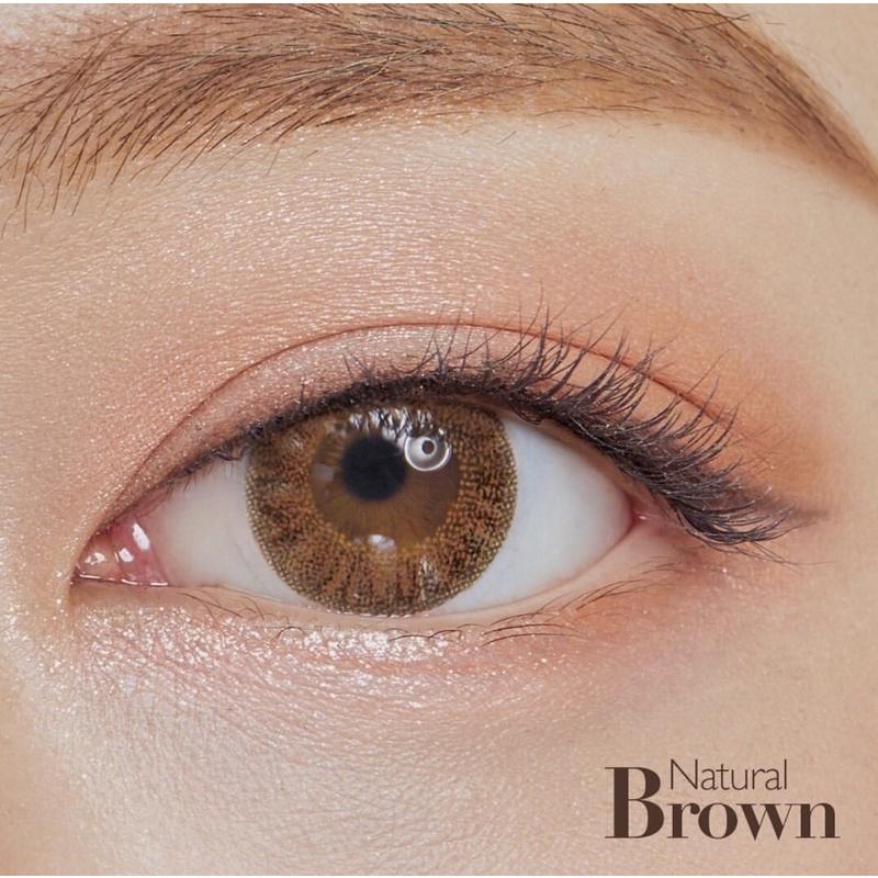 Áp tròng BNA BROWN 14.0MM - FAIRY SHOP CONTACT LENS độ cận 0 đến 6