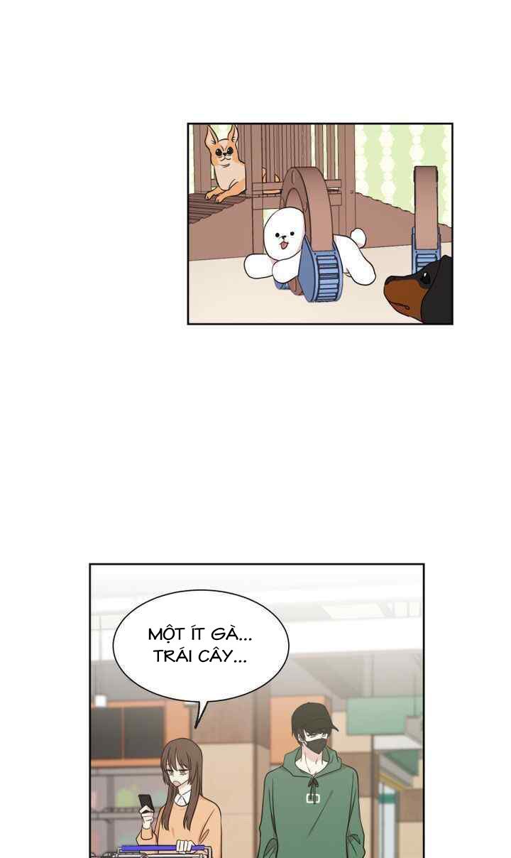 idols sống trong nhà tôi! chapter 3 51