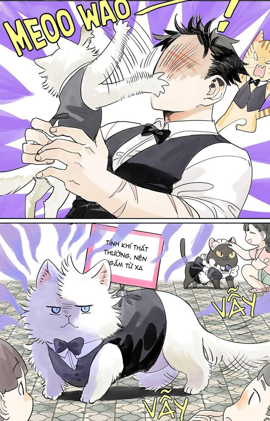 bạn cùng lớp tôi đều kỳ lạ chapter 55 66