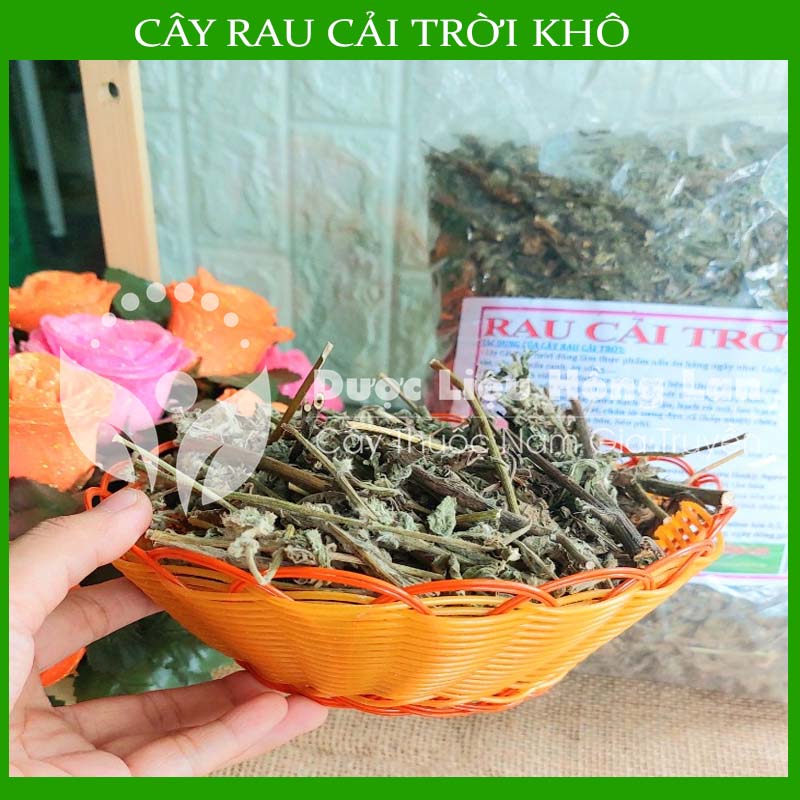 Cây Rau Cải Trời khô 500g (Hàng Công Ty)