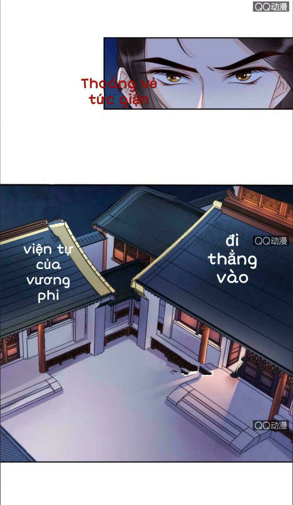 sủng phi của vương chapter 36 12