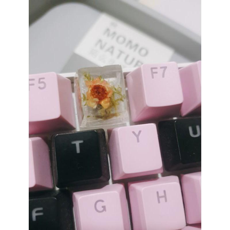 Keycap 1u danhf cho Resin hoa Glixia Brazil - Nút keycap bàn phím cơ trong hình hoa Glixia Brazil