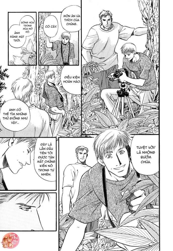 oneshot bl từ nhiều tác giả - mlèo dịch chapter 122 12