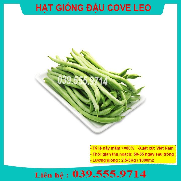 Hạt Giống Đậu Cove Leo Giàn Siêu Quả 50gram