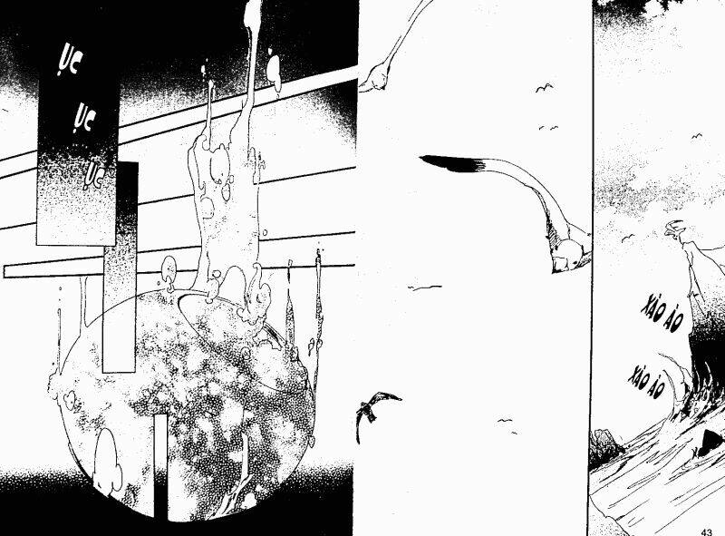 chuyện tình đảo thiên đường chapter 1 21