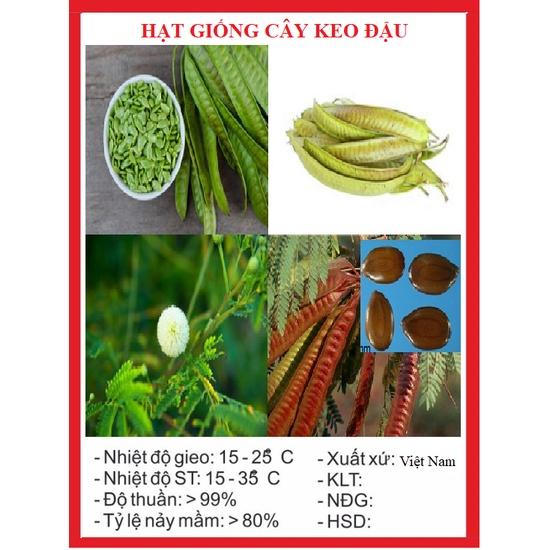 Hạt Giống Cây Keo Dậu - Hạt Giống táo nhơn KNS3704 - 10gram