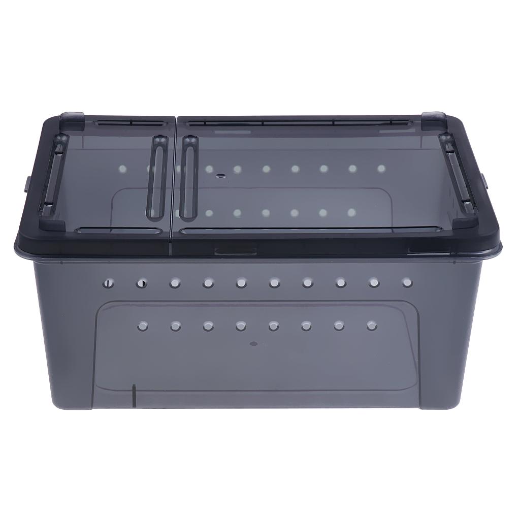 Insect Spider Snake Reptile Transport Breeding Feeding Case 25x17.5x11cm