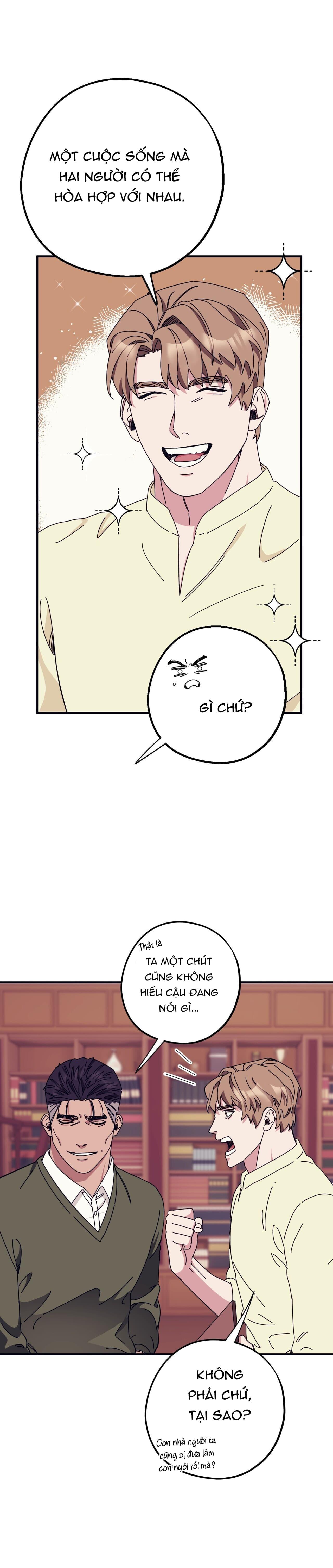 làm dâu nhà tài phiệt họ kang chapter 41 21