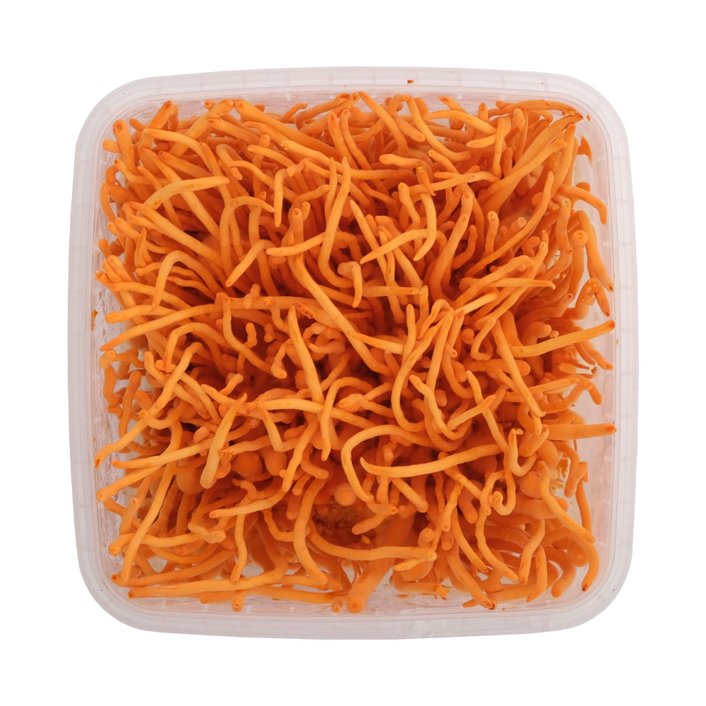Đông Trùng Hạ Thảo Tươi 200gr - Nông Trại Nấm Xanh