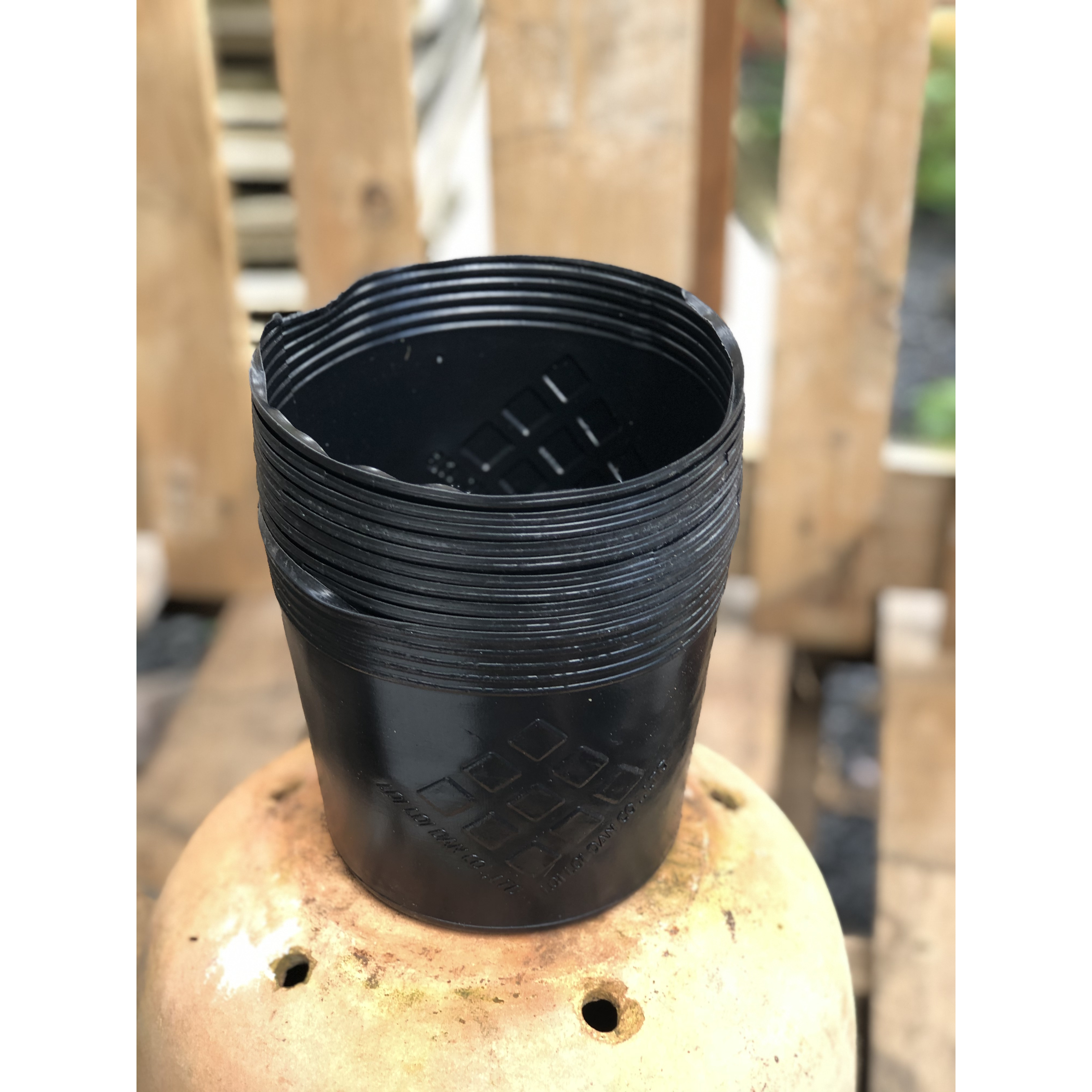 Bộ 10 chậu nhựa trồng cây lâu năm G7 kích thước fi 150 x 135 mm